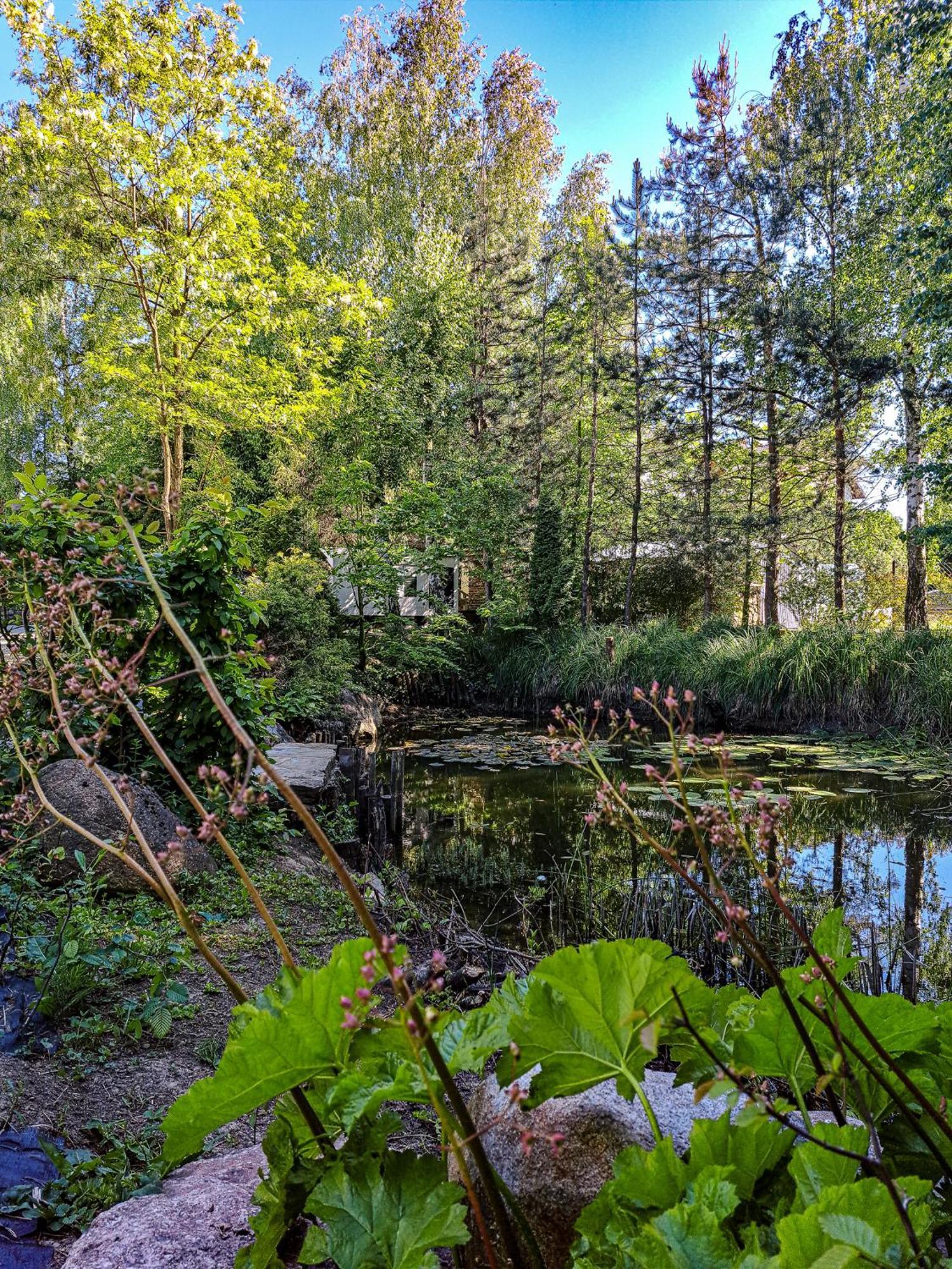 Restauracja Jas Wedrowniczek Bed & Breakfast 2*